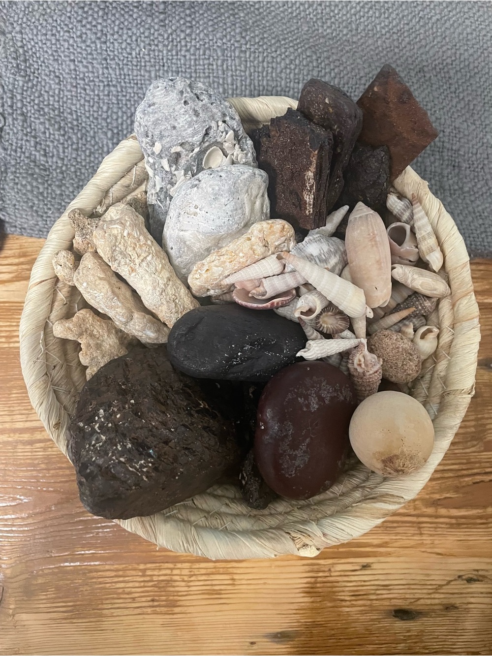 Beachcomber collection. Various beach finds